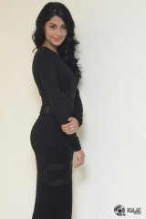 Anisha Ambrose at Run Movie Release Press Meet